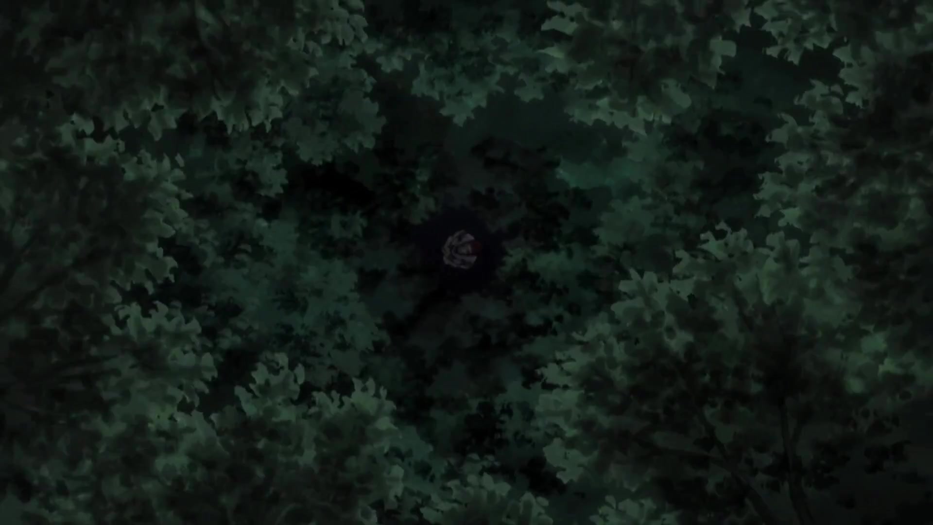 hisoka 17-10x-RIFE-RIFE2.3-239.7602fps.mp4